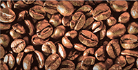 Декор керамический Absolut Keramika Monocolor Decor Coffee Beans 01 10х20