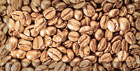 Декор керамический Absolut Keramika Monocolor Decor Coffee Beans 03 10х20